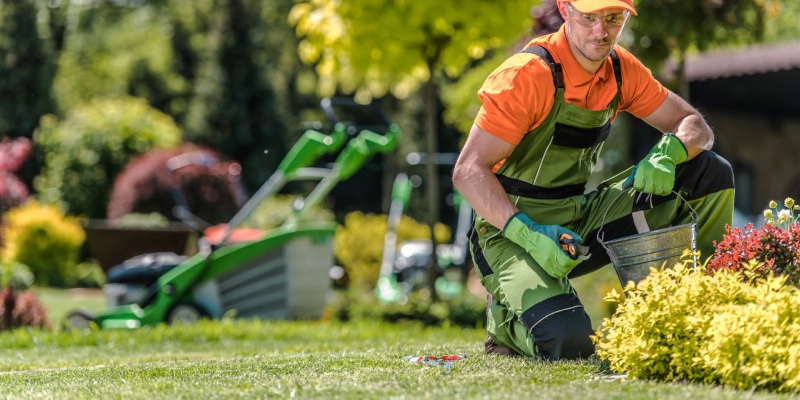 Landscapers & Lawn Care Companies